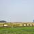 Icelandic Ewes 2 thumbnail