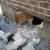 CONCRETE FOUNDATIONS, SLABS ON GRADE ,DEMO/ EXCAVATION 18 thumbnail