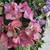 Large Arrangements Expensive And Unique From Upscale Furniture Store 17 thumbnail