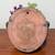 Over The Top Or Hanging Wall Pocket Glazed Ceramic Pottery Planter 13 thumbnail