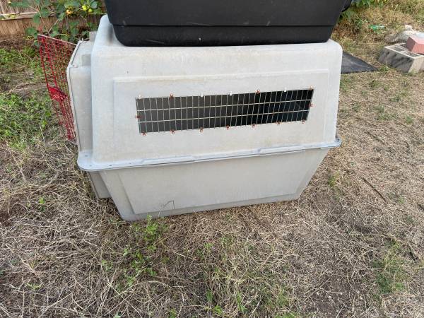 XL dog crate 1