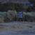 Over 1/2 Acre vacant land in reseidential area. Water/ Power next door 15 thumbnail