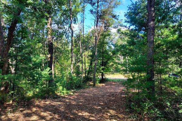 Adams County Wooded Land for Sale 1