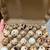Quail Chicks and Quail Eggs 1 thumbnail