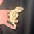 Male capiccino crested gecko 2 thumbnail