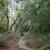 Rare Santa Cruz Mountains Lot – 0.88 Acres + 0.13 Bonus Parcel 9 thumbnail