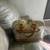 Louis Vuitton multi color purse 3 thumbnail