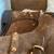 La Canadienne Bruni Camel Suede US Women's 7 BRAND NEW SAVE $100.00 10 thumbnail