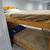 Beautiful basement Studio in Brownstone 18 thumbnail