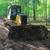 Land Management & Custom Tree Removal/Pruning 4 thumbnail