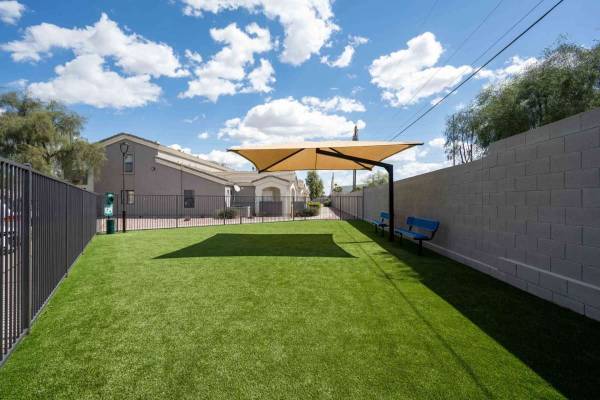 $2,010 / 3br - 1074ft2 - ¡Has elegido un excelente espacio! Estamos cerca del transporte público (Chandler)63623896680451123