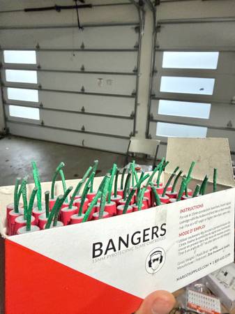 M80 bear bangers 1