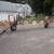 Gehl 9 wheel inline wheel rake 1 thumbnail