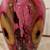 STUNNING Robert Eickholt 10" Pink Sunflower Vase 2001 Signed Art Glass 3 thumbnail
