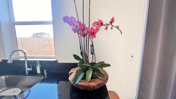 $3,450 / 3br - Fully furnished 3 bed 2.5 bath new built house next to walking trail (Sacramento)64043668510849124