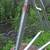 Cannondale Capo Frameset 50cm 16 thumbnail