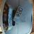 Evaporative Cooler or Humidifier 2 thumbnail