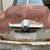 1951 Studebaker, Bullet Nose, Starlight, Champion 11 thumbnail