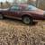 1978 Pontiac Firebird 15 thumbnail