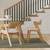 Set of 6 Article Meja Dining Chairs- Oak & Bristol Ivory 6 thumbnail