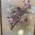 Vintage F. MAssa Print of 2 Birds + Butterfly - BEST OFFER ACCEPTED! 2 thumbnail