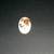 Jack Russel Terrier Vintage Cameo Brooch 1 thumbnail