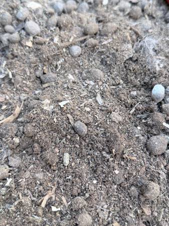 Rabbit Manure for Gardens 1