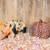 Kune Kune Piglets 1 thumbnail