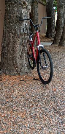 ELECTRA BEACH CRUISER 1