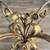 Italian Gold Leafed Iron Table with Glass Top, c.1950’s 8 thumbnail