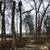 Trees cutting n virginia 4 thumbnail