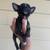 Boston terrier/Chihuahuas 2 thumbnail