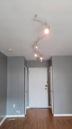 $800 / 400ft2 - Apartment for rent (studio) in Rosslyn VA, near Metro (Arlington)64040029078913120