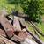 YARD WORK 🌳 LANDSCAPING  HAULING JUNK DEMOLITION CALL 5109277291 17 thumbnail