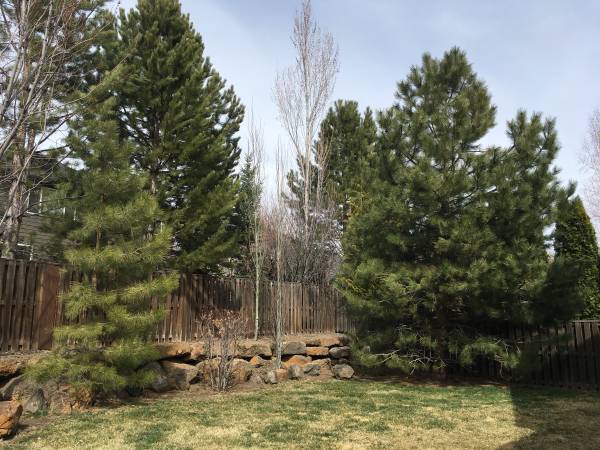 $3,600 / 3br - 2131ft2 - 61113 Snowbrush Dr. (Bend)63839289863299121
