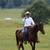 SOLD ... Arabian Gelding 5 thumbnail