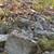 Land for sale 3 thumbnail