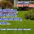 🔷LOPEZ' Garden, Landscape & Yard Services. Dependable 🔷 5 thumbnail