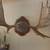 Wall art 6 thumbnail