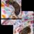 Miniature dachshunds 1 thumbnail