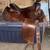 Circle Y 15Inch Western Saddle 1 thumbnail