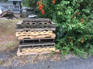 free pallets 1