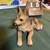 6 Collectible dog figurines-buy one or all! 21 thumbnail