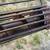 Hutchison Auger 4 thumbnail