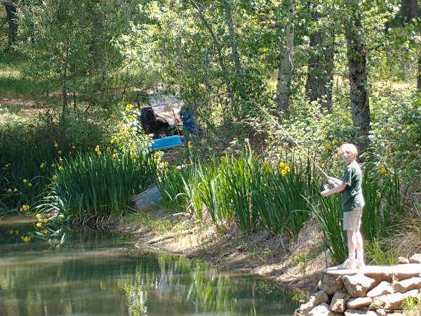 $1,700,000 / 4br - 3000ft2 - Home with 2 acer lake with fish fed by live year around stream (GrassValley)63952105177346120