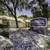 Additional Storage, Refrigerator, Laundry Facilities 8 thumbnail
