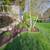 LANDSCAPING TREE REMOVAL FREE ESTIMATES (Waukesha,Pewaukee,delafield 13 thumbnail