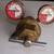 OXWELD HVY DUTY WELDING TANK GAUGE SET OXYGEN/ACETYLENE R-64-R-66 5 thumbnail