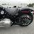 2022 HARLEY DAVIDSON SOFTAIL STANDARD 1K MILES FINANCING AVAILABLE 11 thumbnail