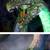 NEW in Box 8’ Gruesome Grounds Giant Sized Color Changing Animated Dragon, Hal 6 thumbnail
